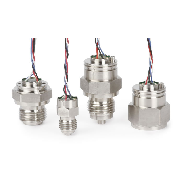 TTF-1�͉���������