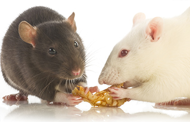 С��(d��ng)��ע�䌣(zhu��n)���M(j��n)���